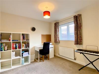 Picture 12